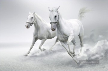 Pferde Schneeweiß läuft realistisch von Foto Ölgemälde